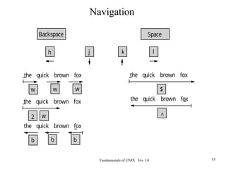 Fundamentals of UNIX Ver 1.0 55
Backspace
h
Space
l
j k
the quick brown fox
w
w w
the quick brown fox
2 w
the quick brown fox
b
b b
the quick brown fox
$
the quick brown fox
^
Navigation
 
