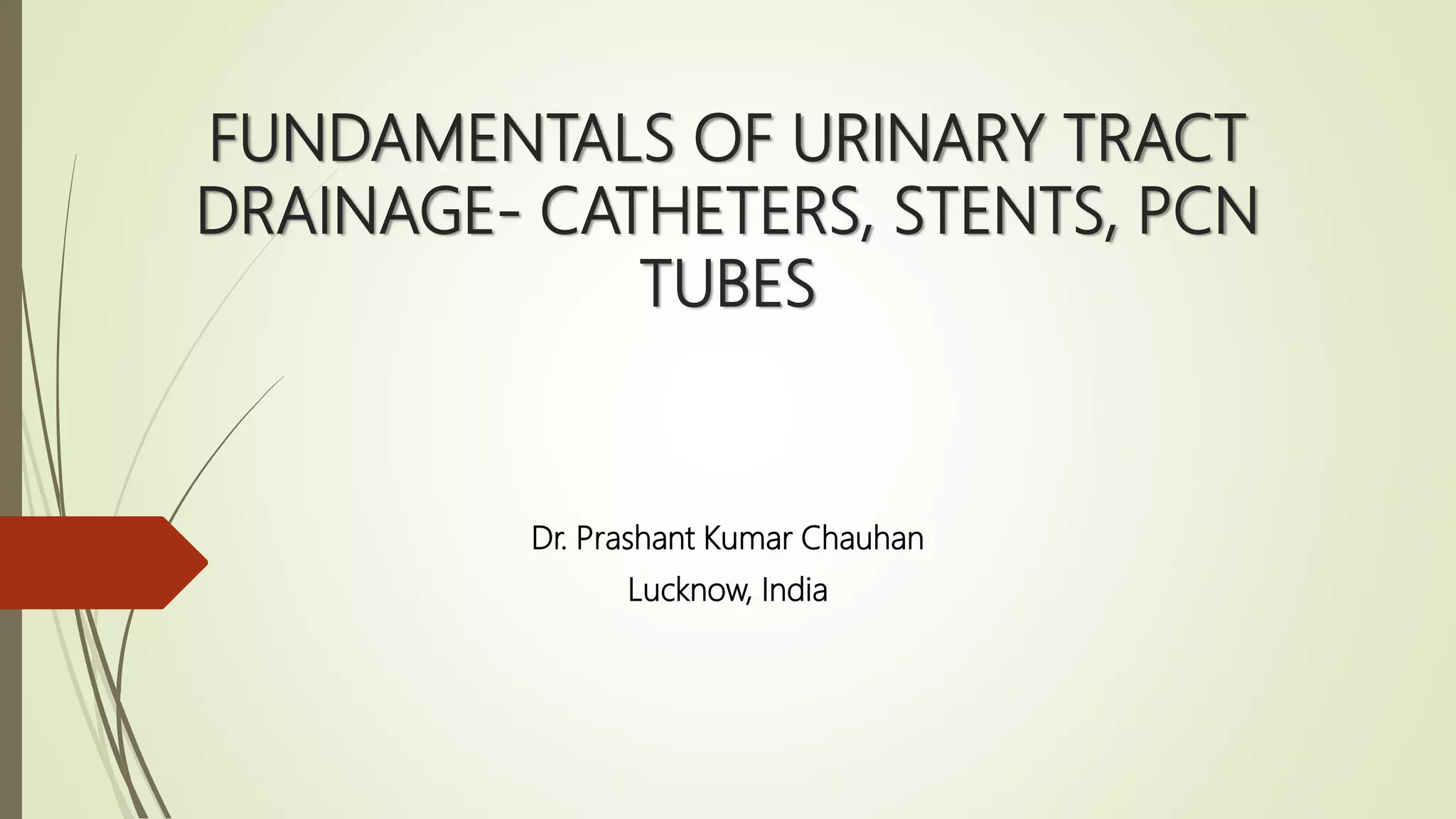 Fundamentals of urinary tract drainage PPT