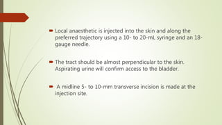 Fundamentals of urinary tract drainage | PPTX