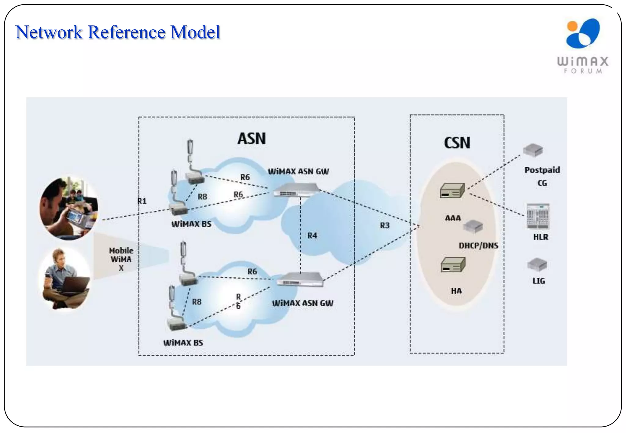 Network Reference Model
 