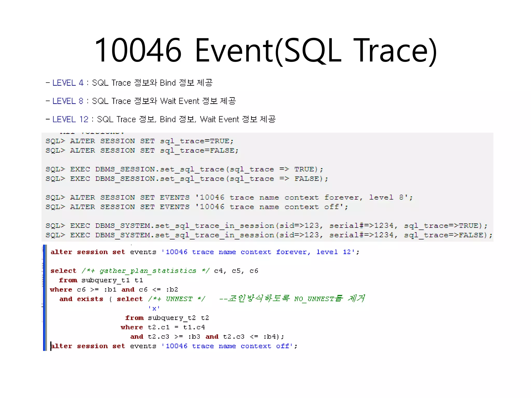 10046 Event(SQL Trace)
 