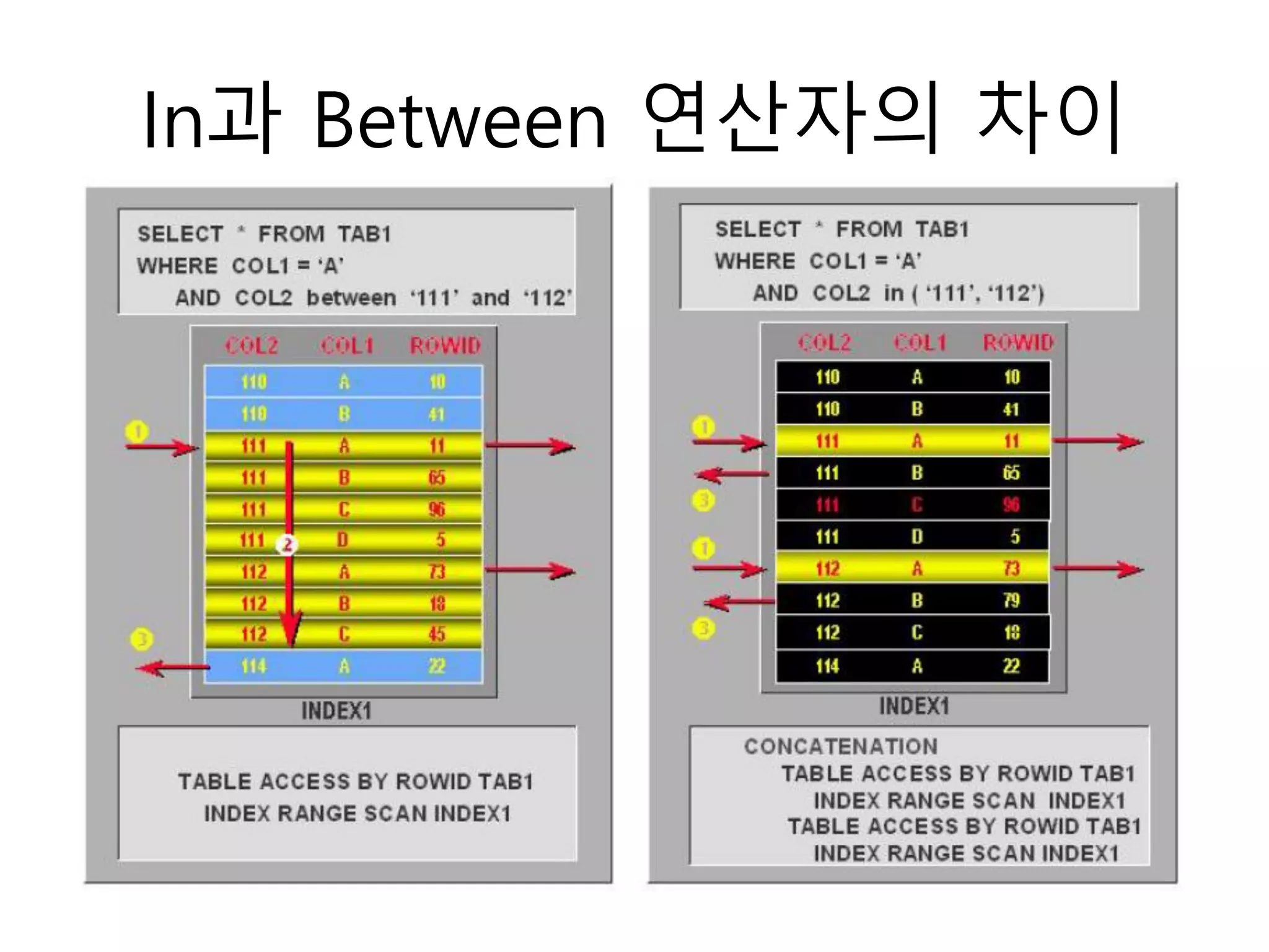 In과 Between 연산자의 차이
 