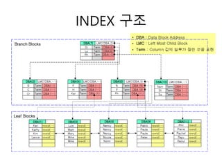 INDEX 구조
 