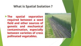 Fundamentals, principles of vegetable seed prod.pptx