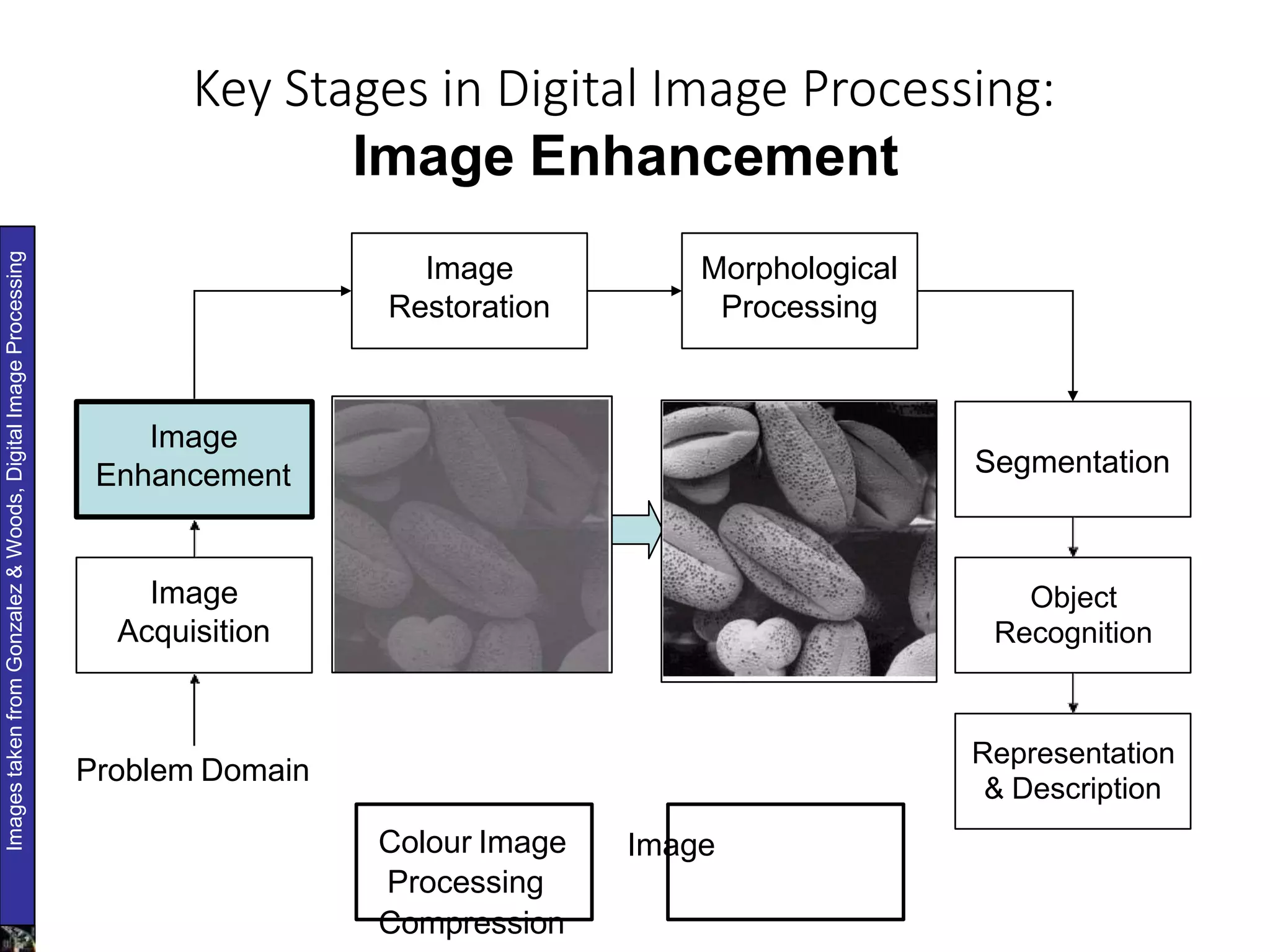 Fundamental steps in image processing | PPTX | Photo Editing Software ...