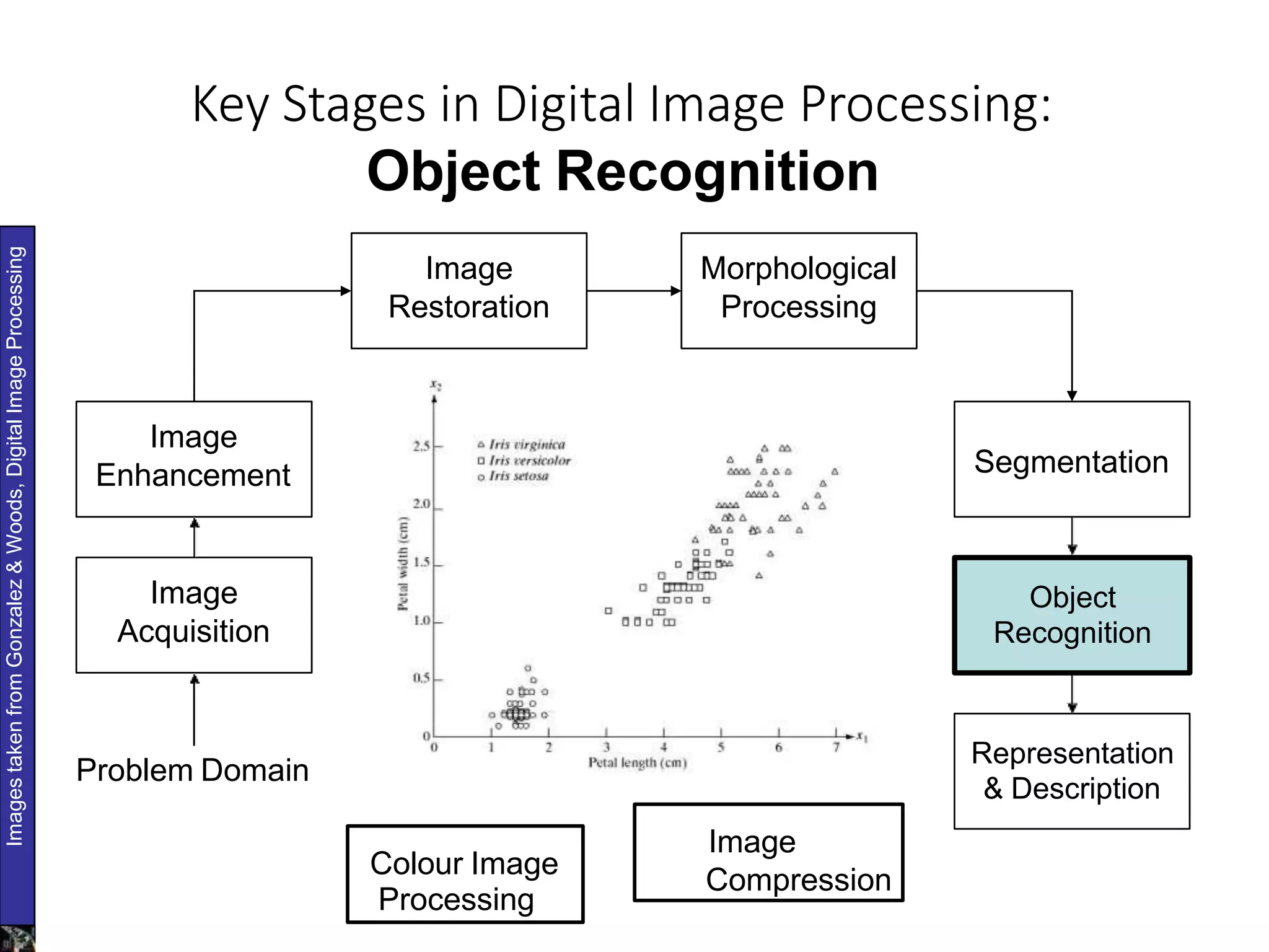 Fundamental steps in image processing | PPTX | Photo Editing Software ...