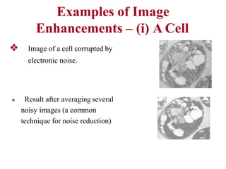 Examples of Image
Enhancements – (i) A Cell
❖ Image of a cell corrupted by
electronic noise.
❖ Result after averaging several
noisy images (a common
technique for noise reduction)
 