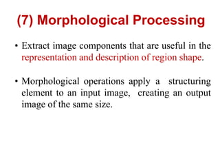 (7) Morphological Processing
• Extract image components that are useful in the
representation and description of region shape.
• Morphological operations apply a structuring
element to an input image, creating an output
image of the same size.
 