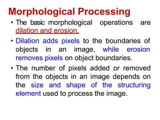 Morphological Processing
• The basic morphological operations are
dilation and erosion.
• Dilation adds pixels to the boundaries of
objects in an image, while erosion
removes pixels on object boundaries.
• The number of pixels added or removed
from the objects in an image depends on
the size and shape of the structuring
element used to process the image.
 