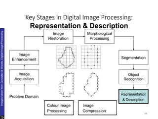 Key Stages in Digital Image Processing:
Representation & Description
44
Image
Acquisition
Image
Restoration
Morphological
Processing
Segmentation
Image
Enhancement
Object
Recognition
Images
taken
from
Gonzalez
&
Woods,
Digital
Image
Processing
Representation
& Description
Problem Domain
Colour Image
Processing
Image
Compression
 