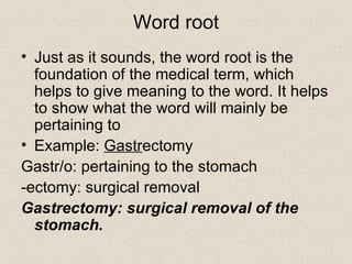 Word root Just as it sounds, the word root is the foundation of the medical term, which helps to give meaning to the word. It helps to show what the word will mainly be pertaining to Example:  Gastr ectomy Gastr/o: pertaining to the stomach -ectomy: surgical removal Gastrectomy: surgical removal of the stomach.   