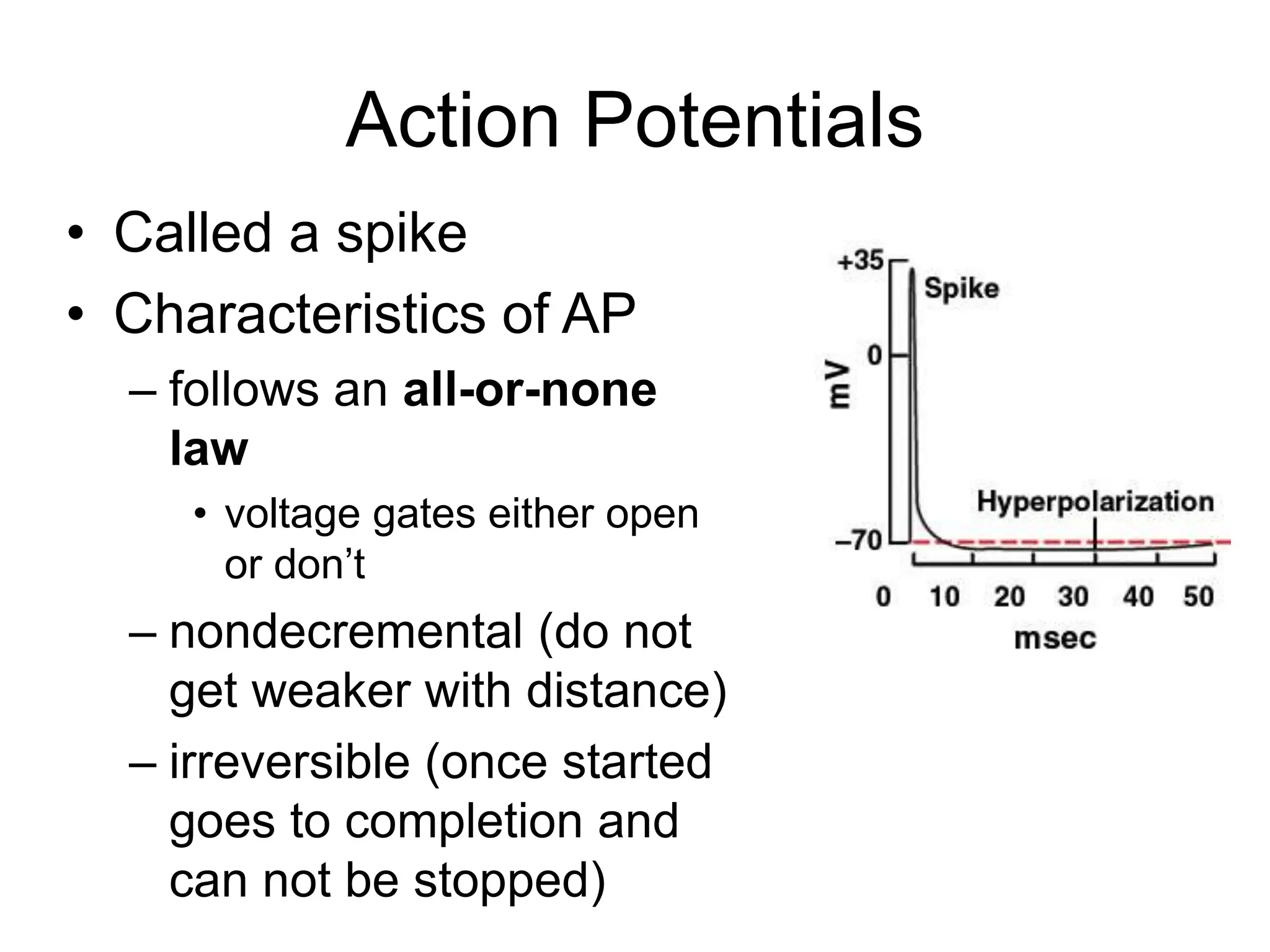 Action Potentials
• Called a spike
• Characteristics of AP
– follows an all-or-none
law
• voltage gates either open
or don’t
– nondecremental (do not
get weaker with distance)
– irreversible (once started
goes to completion and
can not be stopped)
 