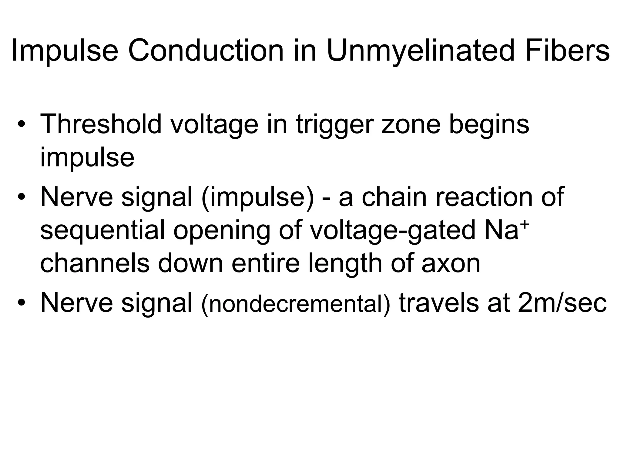 Impulse Conduction in Unmyelinated Fibers
• Threshold voltage in trigger zone begins
impulse
• Nerve signal (impulse) - a chain reaction of
sequential opening of voltage-gated Na+
channels down entire length of axon
• Nerve signal (nondecremental) travels at 2m/sec
 
