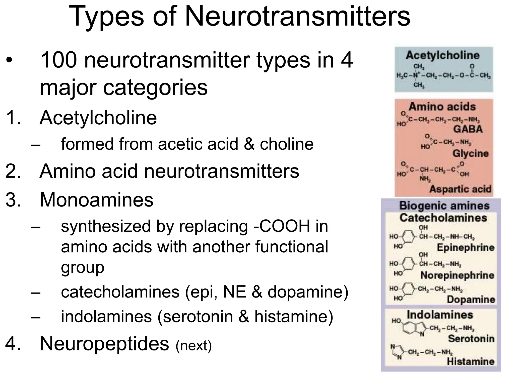 Types of Neurotransmitters
• 100 neurotransmitter types in 4
major categories
1. Acetylcholine
– formed from acetic acid & choline
2. Amino acid neurotransmitters
3. Monoamines
– synthesized by replacing -COOH in
amino acids with another functional
group
– catecholamines (epi, NE & dopamine)
– indolamines (serotonin & histamine)
4. Neuropeptides (next)
 