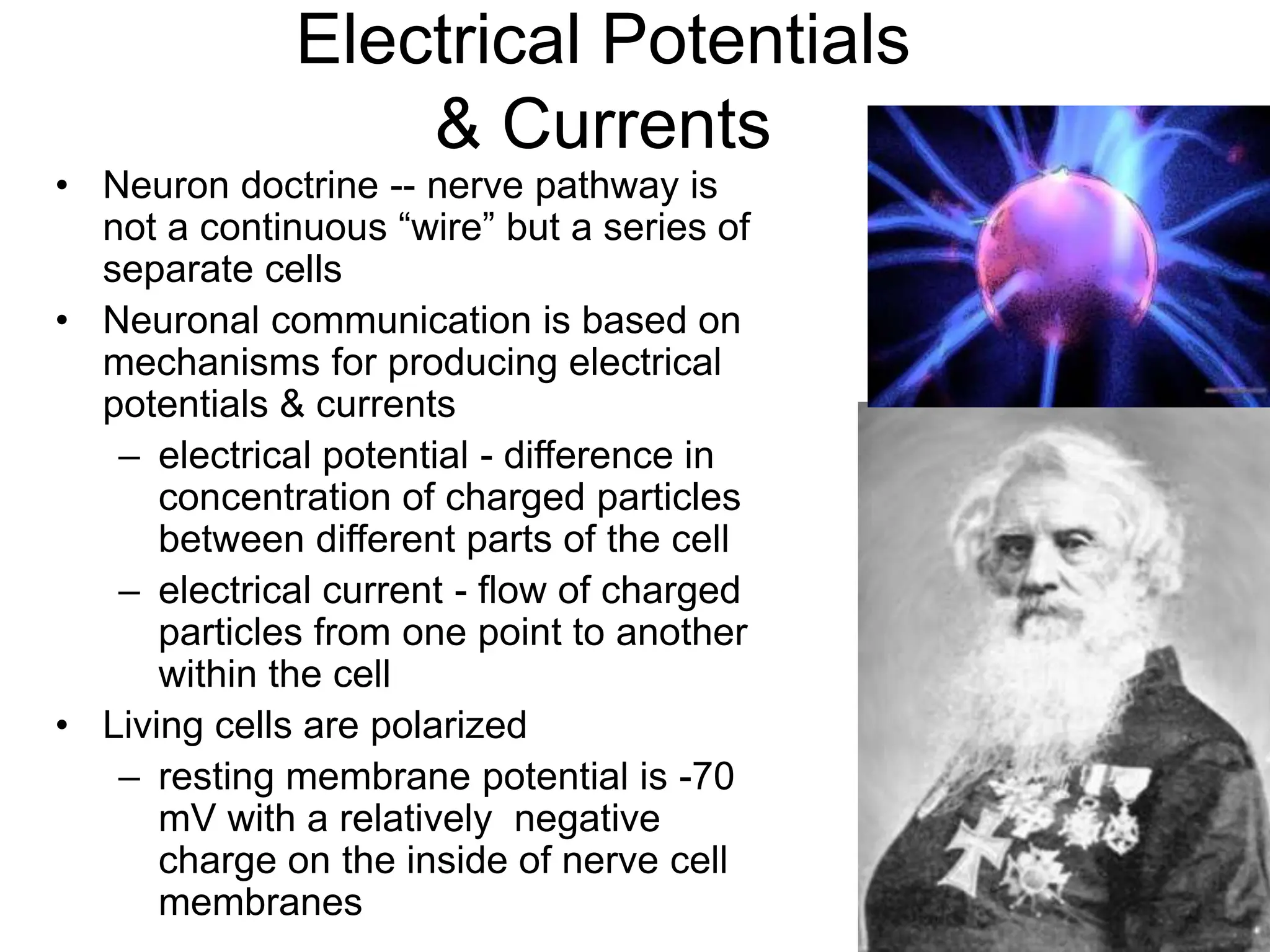 Electrical Potentials
& Currents
• Neuron doctrine -- nerve pathway is
not a continuous “wire” but a series of
separate cells
• Neuronal communication is based on
mechanisms for producing electrical
potentials & currents
– electrical potential - difference in
concentration of charged particles
between different parts of the cell
– electrical current - flow of charged
particles from one point to another
within the cell
• Living cells are polarized
– resting membrane potential is -70
mV with a relatively negative
charge on the inside of nerve cell
membranes
 