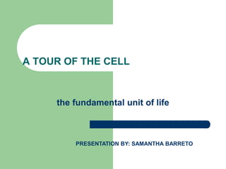 A TOUR OF THE CELL
the fundamental unit of life
PRESENTATION BY: SAMANTHA BARRETO
 