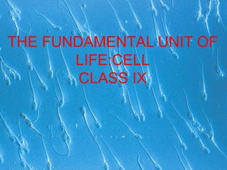 THE FUNDAMENTAL UNIT OF
LIFE:CELL
CLASS IX
 