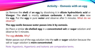 FUNDAMENTAL UNIT OF LIFE PART 2.pptx | Biological Sciences | Science