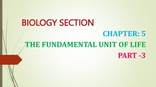 BIOLOGY SECTION
CHAPTER: 5
THE FUNDAMENTAL UNIT OF LIFE
PART -3
 