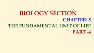 BIOLOGY SECTION
CHAPTER: 5
THE FUNDAMENTAL UNIT OF LIFE
PART -4
 