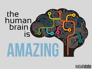 the
human
is
brain
amazing
 