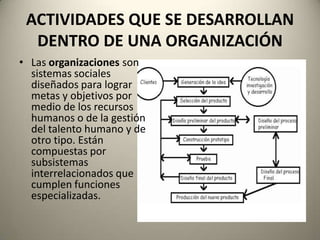 ACTIVIDADES QUE SE DESARROLLAN
  DENTRO DE UNA ORGANIZACIÓN
• Las organizaciones son
  sistemas sociales
  diseñados para lograr
  metas y objetivos por
  medio de los recursos
  humanos o de la gestión
  del talento humano y de
  otro tipo. Están
  compuestas por
  subsistemas
  interrelacionados que
  cumplen funciones
  especializadas.
 