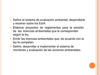 Definir el sistema de evaluación ambiental, desarrollarlo y resolver sobre los EsIA.Elaborar  proyectos  de  reglamentos  para  la  emisión  de  las  licencias ambientales que le correspondan según la ley.Emitir las licencias ambientales que, de acuerdo con la ley le competan.Definir, desarrollar e implementar el sistema de monitoreo y evaluación de las acciones ambientales.
