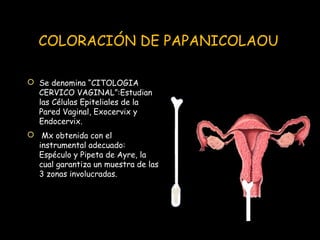 COLORACIÓN DE PAPANICOLAOU
 Se denomina “CITOLOGIA
CERVICO VAGINAL”:Estudian
las Células Epiteliales de la
Pared Vaginal,...