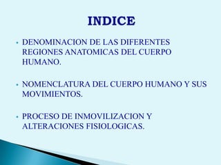 LOURDES AGÜERO MUÑOZ.