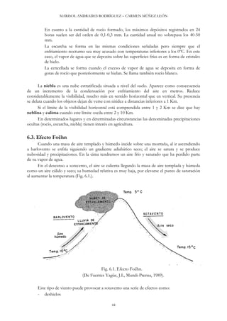 MARISOL ANDRADES RODRÍGUEZ – CARMEN MÚÑEZ LEÓN
En cuanto a la cantidad de rocío formado, los máximos depósitos registrados en 24
horas suelen ser del orden de 0,1-0,3 mm. La cantidad anual no sobrepasa los 40-50
mm.
La escarcha se forma en las mismas condiciones señaladas pero siempre que el
enfriamiento nocturno sea muy acusado con temperaturas inferiores a los 0ºC. En este
caso, el vapor de agua que se deposita sobre las superficies frías es en forma de cristales
de hielo.
La cencellada se forma cuando el exceso de vapor de agua se deposita en forma de
gotas de rocío que posteriormente se hielan. Se llama también rocío blanco.
La niebla es una nube estratificada situada a nivel del suelo. Aparece como consecuencia
de un incremento de la condensación por enfriamiento del aire en metros. Reduce
considerablemente la visibilidad, mucho más en sentido horizontal que en vertical. Su presencia
se delata cuando los objetos dejan de verse con nitidez a distancias inferiores a 1 Km.
Si el límite de la visibilidad horizontal está comprendida entre 1 y 2 Km se dice que hay
neblina y calima cuando este límite oscila entre 2 y 10 Km.
En determinados lugares y en determinadas circunstancias las denominadas precipitaciones
ocultas (rocío, escarcha, niebla) tienen interés en agricultura.
6.3. Efecto Foëhn
Cuando una masa de aire templado y húmedo incide sobre una montaña, al ir ascendiendo
a barlovento se enfría siguiendo un gradiente adiabático seco; el aire se satura y se produce
nubosidad y precipitaciones. En la cima tendremos un aire frío y saturado que ha perdido parte
de su vapor de agua.
En el descenso a sotavento, el aire se calienta llegando la masa de aire templada y húmeda
como un aire cálido y seco; su humedad relativa es muy baja, por elevarse el punto de saturación
al aumentar la temperatura (Fig. 6.1.).
Fig. 6.1. Efecto Foëhn.
(De Fuentes Yagüe, J.L, Mundi-Prensa, 1989).
Este tipo de viento puede provocar a sotavento una serie de efectos como:
- deshielos
44
 
