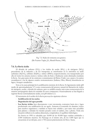 MARISOL ANDRADES RODRÍGUEZ – CARMEN MÚÑEZ LEÓN
Fig. 7.2. Nube de tormenta con granizo.
(De Fuentes Yagüe, J.L, Mundi-Prensa, 1989).
7.6. La lluvia ácida
El dióxido de carbono (CO2) y los óxidos de azufre (SOX) y de nitrógeno (NOX)
procedentes de la industria y de los transportes se transforman en la atmósfera en ácido
carbónico (H2CO3), sulfúrico (H2SO4) y nítrico (HNO3) respectivamente; son transportados por
ella (el viento los arrastra cientos e incluso miles de Km) y finalmente serán eliminados mediante
la lluvia. Así, gran parte de las emisiones contaminantes del Reino Unido van a parar a los países
escandinavos y las de algunos estados norteamericanos (Indiana, Ohio, Illinois) desembocan en
lagos y bosques canadienses.
Esta es la causa principal de la acidificación creciente de la lluvia. Es ligeramente ácida (pH
medio de aproximadamente 5,7) como consecuencia del proceso natural de liberación de óxidos
de nitrógeno, azufre y dióxido de carbono, pero se acidifica mucho más como consecuencia de la
emisión antropogénica diaria de toneladas de estos compuestos. Ocasionalmente se han llegado a
registrar lluvias extremadamente ácidas, con pH inferior a 2.
El incremento de la acidez de la lluvia provoca los siguientes efectos:
- Acidificación de los suelos.
- Degradación del agua potable.
- Las lluvias ácidas bien directamente o por escorrentía, concurren hacia ríos y lagos
produciendo una acidificación de sus aguas. Aumenta el contenido de aluminio, tóxico
para muchos organismos y también se hacen más solubles y por tanto más accesibles
para plantas y animales los metales pesados como el cadmio, cinc y plomo. Toda esta
situación influirá en la cadena alimentaria, rompiéndose el equilibrio hidrológico.
En Suecia en 1995 se calculaba que 18.000 de los 85.000 lagos estaban acidulados y
2.500 totalmente muertos. En Noruega en el mismo año, de los 5.000 lagos que se
encuentran al sur del país, unos 1.750 carecen prácticamente de flora y fauna.
52
 