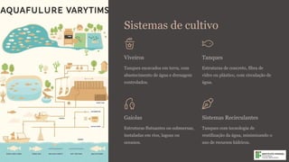 Sistemas de cultivo
Viveiros
Tanques escavados em terra, com
abastecimento de água e drenagem
controlados.
Tanques
Estruturas de concreto, fibra de
vidro ou plástico, com circulação de
água.
Gaiolas
Estruturas flutuantes ou submersas,
instaladas em rios, lagoas ou
oceanos.
Sistemas Recirculantes
Tanques com tecnologia de
reutilização da água, minimizando o
uso de recursos hídricos.
 