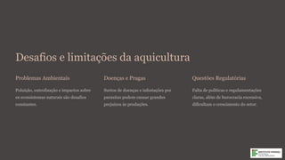 Desafios e limitações da aquicultura
Problemas Ambientais
Poluição, eutrofização e impactos sobre
os ecossistemas naturais são desafios
constantes.
Doenças e Pragas
Surtos de doenças e infestações por
parasitas podem causar grandes
prejuízos às produções.
Questões Regulatórias
Falta de políticas e regulamentações
claras, além de burocracia excessiva,
dificultam o crescimento do setor.
 