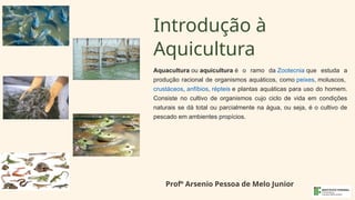 Introdução à
Aquicultura
Aquacultura ou aquicultura é o ramo da Zootecnia que estuda a
produção racional de organismos aquáticos, como peixes, moluscos,
crustáceos, anfíbios, répteis e plantas aquáticas para uso do homem.
Consiste no cultivo de organismos cujo ciclo de vida em condições
naturais se dá total ou parcialmente na água, ou seja, é o cultivo de
pescado em ambientes propícios.
Profº Arsenio Pessoa de Melo Junior
 