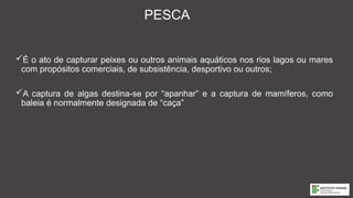 PESCA
É o ato de capturar peixes ou outros animais aquáticos nos rios lagos ou mares
com propósitos comerciais, de subsistência, desportivo ou outros;
A captura de algas destina-se por “apanhar” e a captura de mamíferos, como
baleia é normalmente designada de “caça”
 