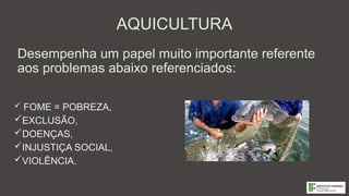 AQUICULTURA
 FOME = POBREZA,
EXCLUSÃO,
DOENÇAS,
INJUSTIÇA SOCIAL,
VIOLÊNCIA.
Desempenha um papel muito importante referente
aos problemas abaixo referenciados:
 