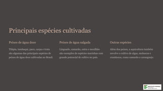 Principais espécies cultivadas
Peixes de água doce
Tilápia, tambaqui, pacu, carpa e truta
são algumas das principais espécies de
peixes de água doce cultivadas no Brasil.
Peixes de água salgada
Linguado, camarão, ostra e mexilhão
são exemplos de espécies marinhas com
grande potencial de cultivo no país.
Outras espécies
Além dos peixes, a aquicultura também
envolve o cultivo de algas, moluscos e
crustáceos, como camarão e caranguejo.
 