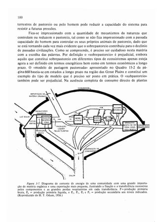 Livro: Fundamentos de ecologia