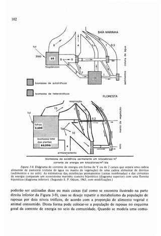 Livro: Fundamentos de ecologia