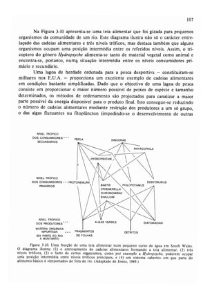Livro: Fundamentos de ecologia