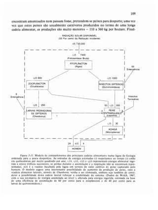 Livro: Fundamentos de ecologia