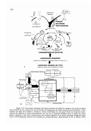 Livro: Fundamentos de ecologia