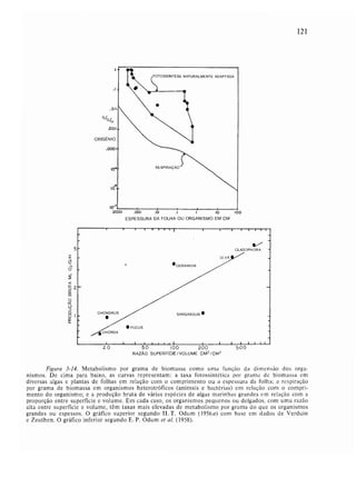 Livro: Fundamentos de ecologia