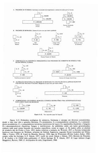 Livro: Fundamentos de ecologia