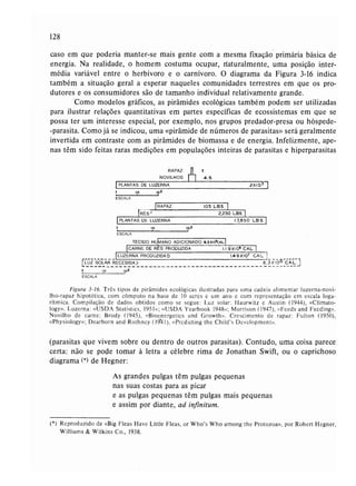 Livro: Fundamentos de ecologia