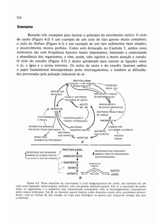 Livro: Fundamentos de ecologia
