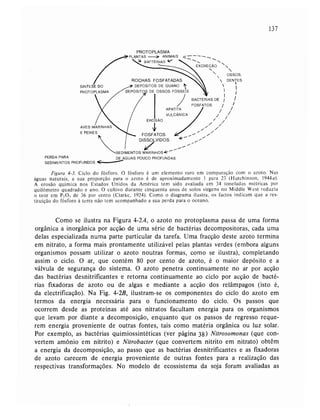 Livro: Fundamentos de ecologia