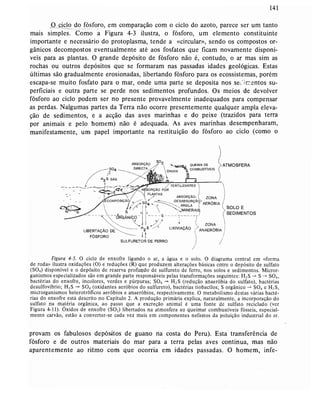 Livro: Fundamentos de ecologia