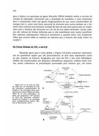 Livro: Fundamentos de ecologia