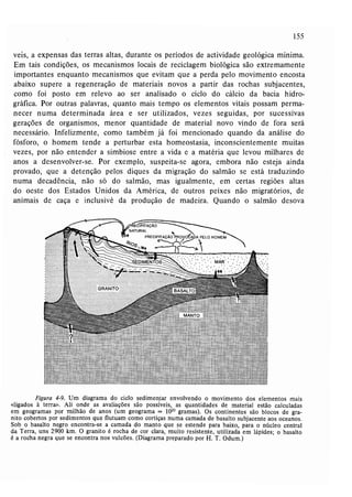 Livro: Fundamentos de ecologia